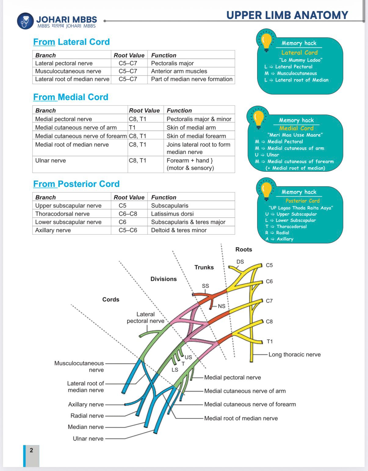 Anatomy 2.0 Champions Johari MBBS Modules With Flash Cards and IMP Topics List - Image 4